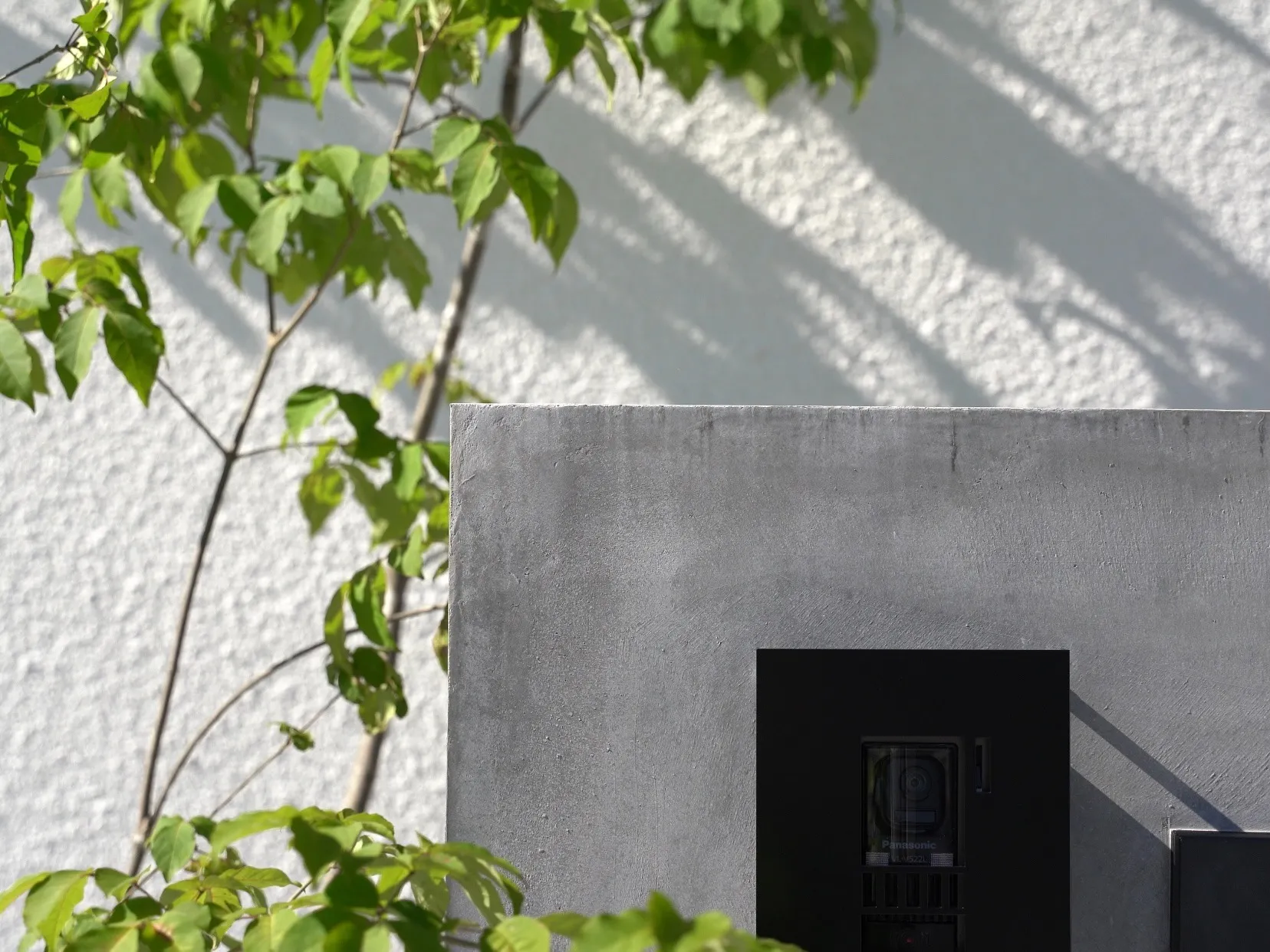 “気持ちいい光”が、実は家の敵になっているかも...？