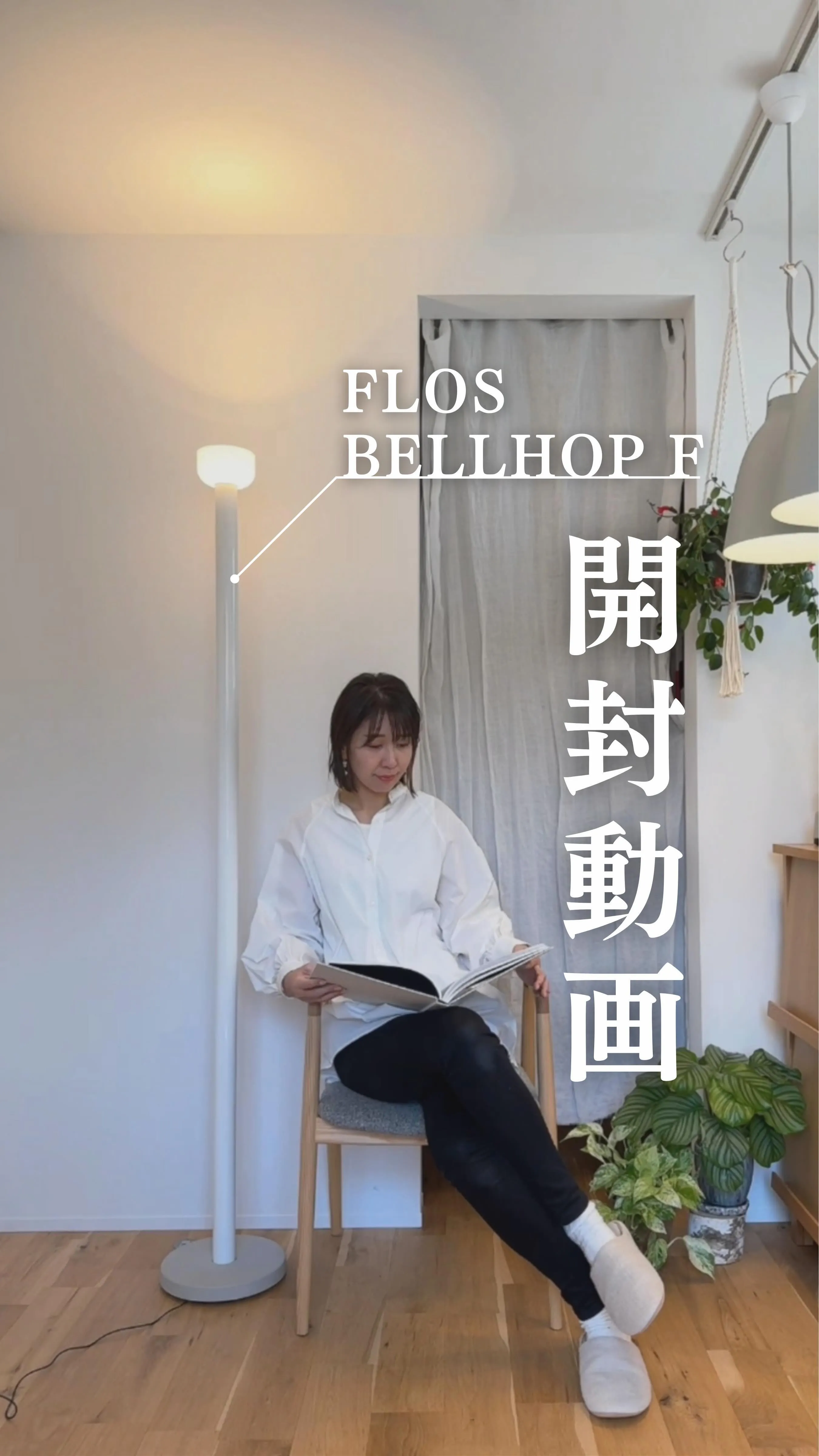 【FLOS】BELHOP F開封動画